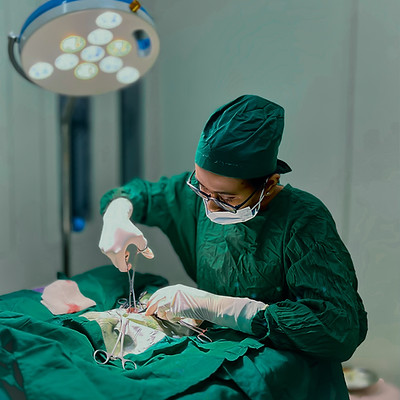 Dr. Ankon Das