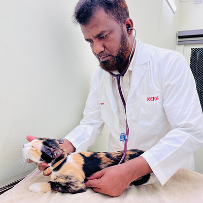 Dr. Abdul Mannan