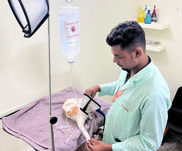 Emergency Treatment at Furmillion