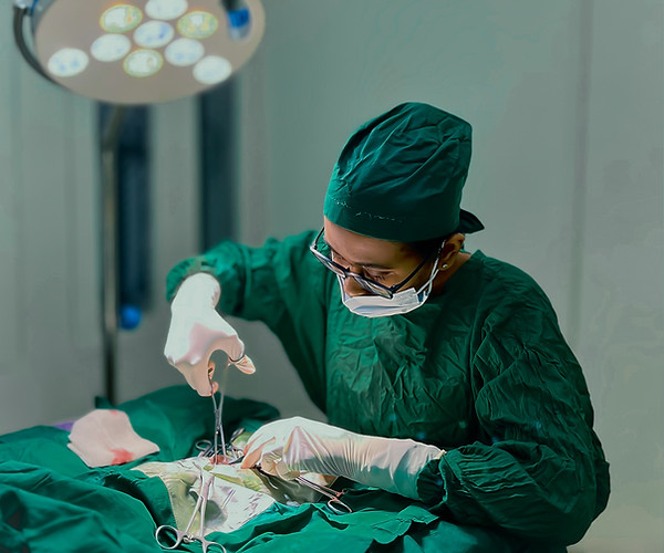 Spay Surgery at Furmillion
