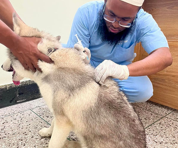 Vaccination at Furmillion